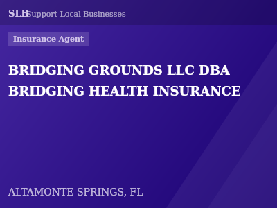 BRIDGING GROUNDS LLC DBA BRIDGING HEALTH INSURANCE — Insurance Agent in ALTAMONTE SPRINGS, FL