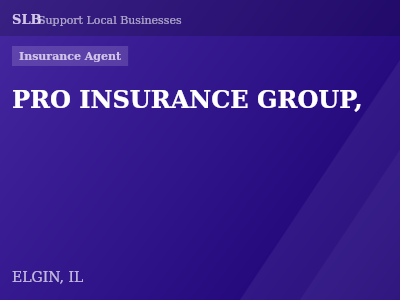 PRO INSURANCE GROUP, — Insurance Agent in ELGIN, IL