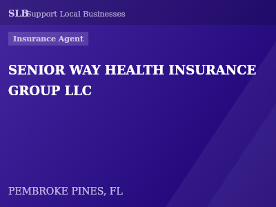 SENIOR WAY HEALTH INSURANCE GROUP LLC — Insurance Agent in PEMBROKE PINES, FL