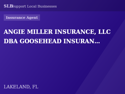 ANGIE MILLER INSURANCE, LLC DBA GOOSEHEAD INSURANCE — Insurance Agent in LAKELAND, FL