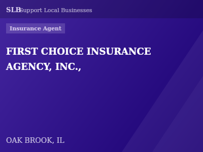 FIRST CHOICE INSURANCE AGENCY, INC., — Insurance Agent in OAK BROOK, IL