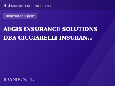 AEGIS INSURANCE SOLUTIONS DBA CICCIARELLI INSURANCE AGENCY — Insurance Agent in BRANDON, FL