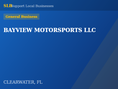 BAYVIEW MOTORSPORTS LLC — General Business in CLEARWATER, FL