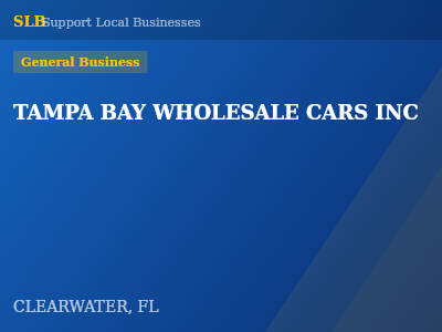 TAMPA BAY WHOLESALE CARS INC — General Business in CLEARWATER, FL