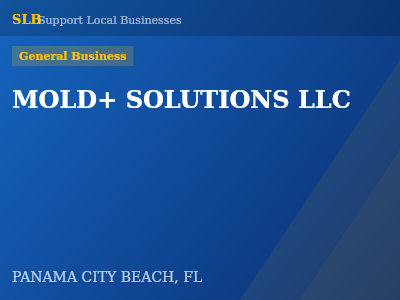 MOLD+ SOLUTIONS LLC — General Business in PANAMA CITY BEACH, FL