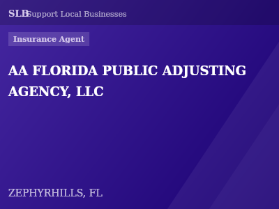 AA FLORIDA PUBLIC ADJUSTING AGENCY, LLC — Insurance Agent in ZEPHYRHILLS, FL