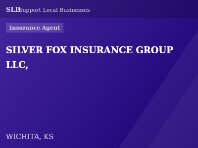 SILVER FOX INSURANCE GROUP LLC, — Insurance Agent in WICHITA, KS
