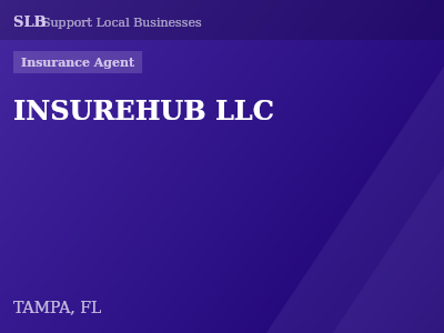 INSUREHUB LLC — Insurance Agent in TAMPA, FL