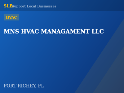 MNS HVAC MANAGAMENT LLC — HVAC in PORT RICHEY, FL