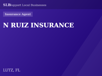 N RUIZ INSURANCE — Insurance Agent in LUTZ, FL