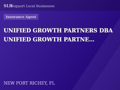 UNIFIED GROWTH PARTNERS DBA UNIFIED GROWTH PARTNERS INSURANCE AGENCY CORP — Insurance Agent in NEW PORT RICHEY, FL