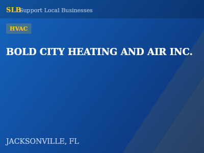 BOLD CITY HEATING AND AIR INC. — HVAC in JACKSONVILLE, FL