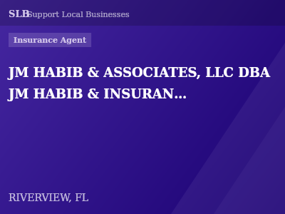 JM HABIB & ASSOCIATES, LLC DBA JM HABIB & INSURANCE — Insurance Agent in RIVERVIEW, FL