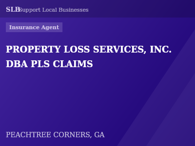 PROPERTY LOSS SERVICES, INC. DBA PLS CLAIMS — Insurance Agent in PEACHTREE CORNERS, GA