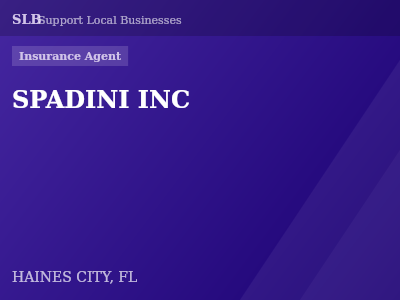 SPADINI INC — Insurance Agent in HAINES CITY, FL