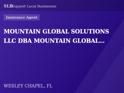 MOUNTAIN GLOBAL SOLUTIONS LLC DBA MOUNTAIN GLOBAL INSURANCE — Insurance Agent in WESLEY CHAPEL, FL
