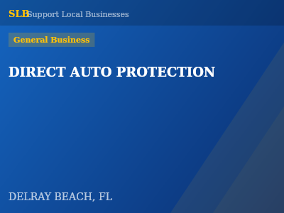 DIRECT AUTO PROTECTION — General Business in DELRAY BEACH, FL