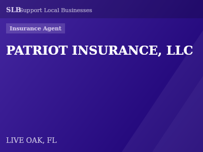 PATRIOT INSURANCE, LLC — Insurance Agent in LIVE OAK, FL