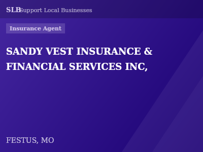 SANDY VEST INSURANCE & FINANCIAL SERVICES INC, — Insurance Agent in FESTUS, MO