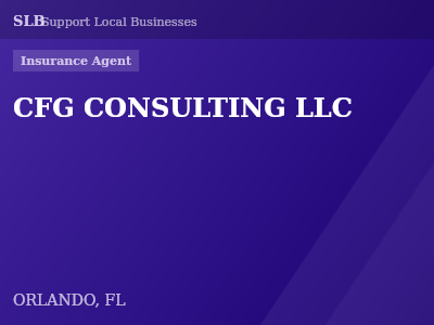 CFG CONSULTING LLC — Insurance Agent in ORLANDO, FL