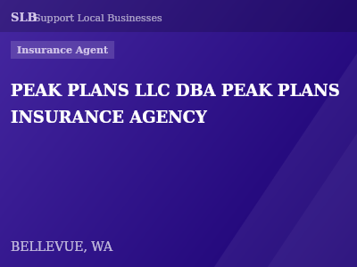 PEAK PLANS LLC DBA PEAK PLANS INSURANCE AGENCY — Insurance Agent in BELLEVUE, WA