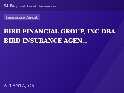 BIRD FINANCIAL GROUP, INC DBA BIRD INSURANCE AGENCY — Insurance Agent in ATLANTA, GA