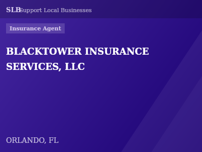 BLACKTOWER INSURANCE SERVICES, LLC — Insurance Agent in ORLANDO, FL