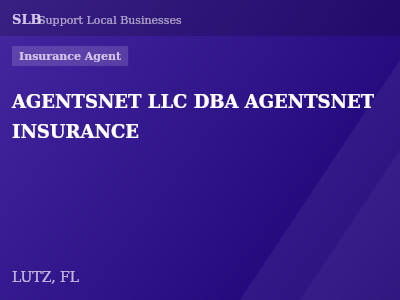 AGENTSNET LLC DBA AGENTSNET INSURANCE — Insurance Agent in LUTZ, FL