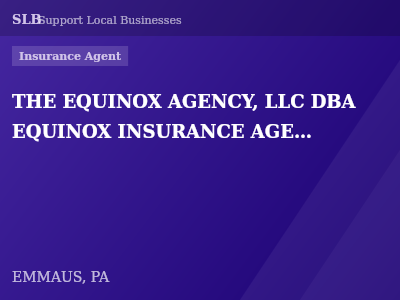 THE EQUINOX AGENCY, LLC DBA EQUINOX INSURANCE AGENCY — Insurance Agent in EMMAUS, PA