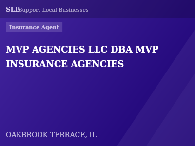 MVP AGENCIES LLC DBA MVP INSURANCE AGENCIES — Insurance Agent in OAKBROOK TERRACE, IL