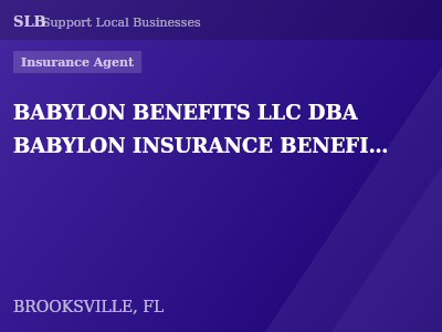 BABYLON BENEFITS LLC DBA BABYLON INSURANCE BENEFITS — Insurance Agent in BROOKSVILLE, FL