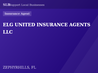 ELG UNITED INSURANCE AGENTS LLC — Insurance Agent in ZEPHYRHILLS, FL