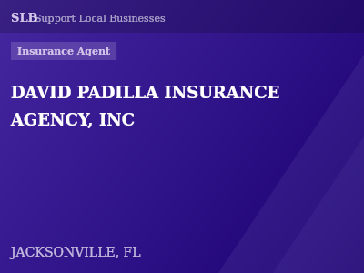 DAVID PADILLA INSURANCE AGENCY, INC — Insurance Agent in JACKSONVILLE, FL