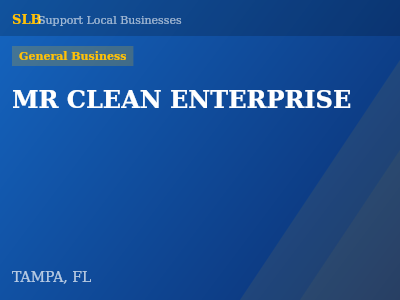 MR CLEAN ENTERPRISE — General Business in TAMPA, FL