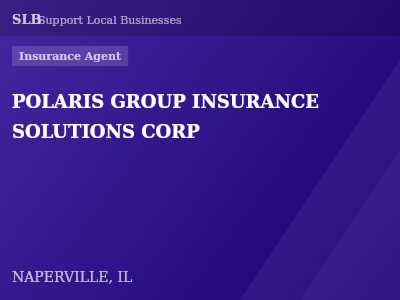 POLARIS GROUP INSURANCE SOLUTIONS CORP — Insurance Agent in NAPERVILLE, IL