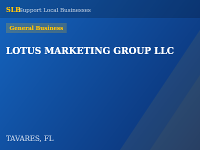 LOTUS MARKETING GROUP LLC — General Business in TAVARES, FL