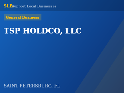 TSP HOLDCO, LLC — General Business in SAINT PETERSBURG, FL
