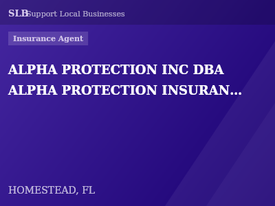 ALPHA PROTECTION INC DBA ALPHA PROTECTION INSURANCE AGENCY — Insurance Agent in HOMESTEAD, FL