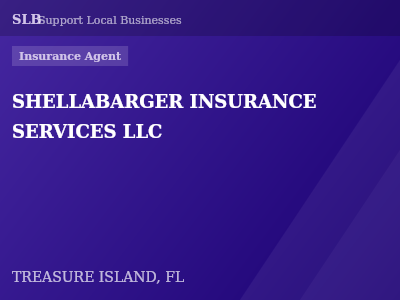 SHELLABARGER INSURANCE SERVICES LLC — Insurance Agent in TREASURE ISLAND, FL