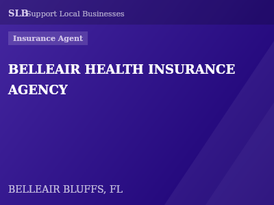 BELLEAIR HEALTH INSURANCE AGENCY — Insurance Agent in BELLEAIR BLUFFS, FL