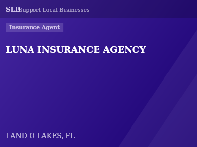 LUNA INSURANCE AGENCY — Insurance Agent in LAND O LAKES, FL