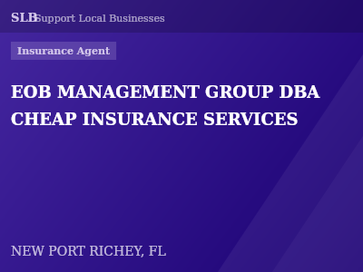 EOB MANAGEMENT GROUP DBA CHEAP INSURANCE SERVICES — Insurance Agent in NEW PORT RICHEY, FL