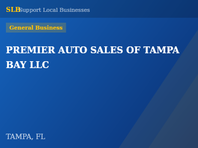PREMIER AUTO SALES OF TAMPA BAY LLC — General Business in TAMPA, FL
