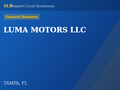 LUMA MOTORS LLC — General Business in TAMPA, FL
