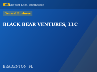 BLACK BEAR VENTURES, LLC — General Business in BRADENTON, FL
