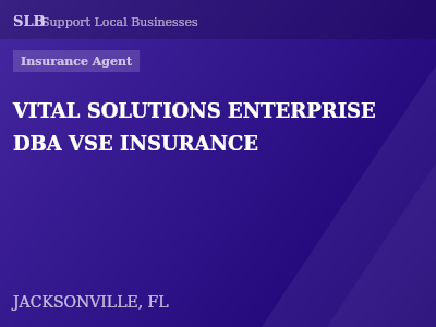 VITAL SOLUTIONS ENTERPRISE DBA VSE INSURANCE — Insurance Agent in JACKSONVILLE, FL