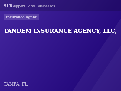 TANDEM INSURANCE AGENCY, LLC, — Insurance Agent in TAMPA, FL