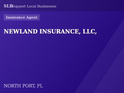 NEWLAND INSURANCE, LLC, — Insurance Agent in NORTH PORT, FL