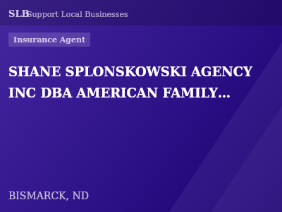 SHANE SPLONSKOWSKI AGENCY INC DBA AMERICAN FAMILY INSURANCE — Insurance Agent in BISMARCK, ND