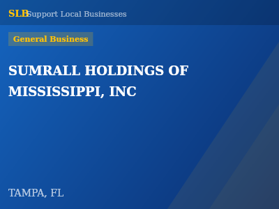 SUMRALL HOLDINGS OF MISSISSIPPI, INC — General Business in TAMPA, FL